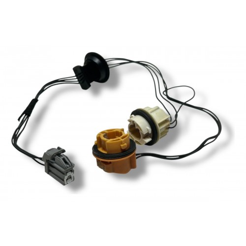 Chicote Lanterna Traseira Ford Focus Hatch 2009 2010