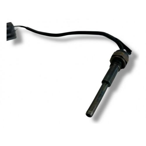 Sensor Temperatura Cabeçote Focus 2.0 16v Zetec 2005
