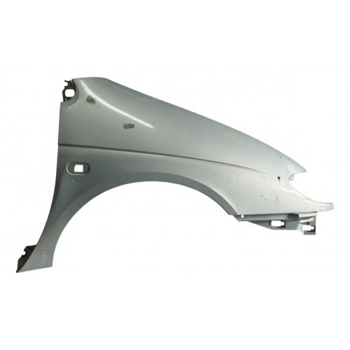 Paralama Lado Direito Renault Scenic 1999 2000