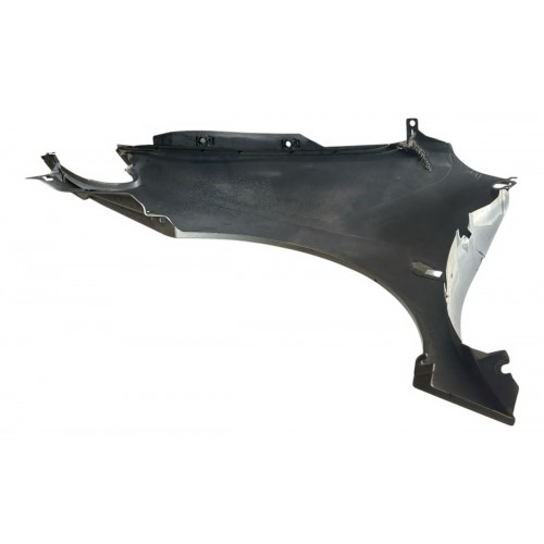 Paralama Lado Direito Renault Scenic 1999 2000