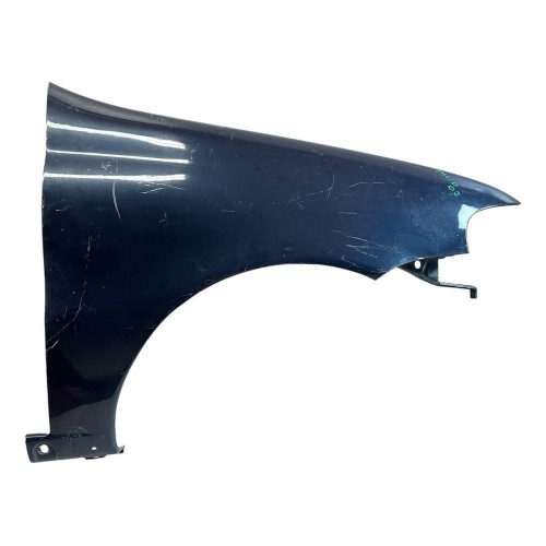 Paralama Lado Direito Fiat Palio 2001 2002 2003