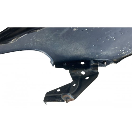 Paralama Lado Direito Fiat Palio 2001 2002 2003